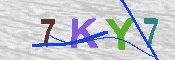 キャプチャ画像