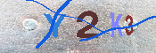 キャプチャ画像