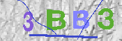 キャプチャ画像