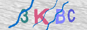 キャプチャ画像