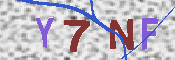 キャプチャ画像