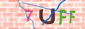 キャプチャ画像