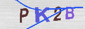 キャプチャ画像
