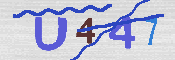 キャプチャ画像