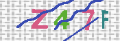 キャプチャ画像