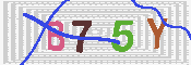キャプチャ画像