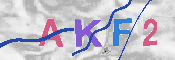 キャプチャ画像