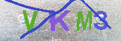キャプチャ画像