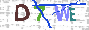 キャプチャ画像