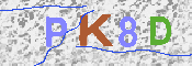 キャプチャ画像