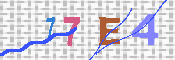 キャプチャ画像