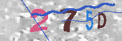 キャプチャ画像
