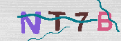 キャプチャ画像
