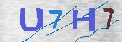 キャプチャ画像