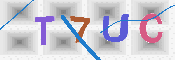 キャプチャ画像