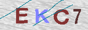 キャプチャ画像