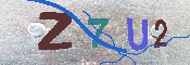 キャプチャ画像