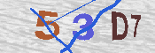 キャプチャ画像