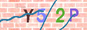 キャプチャ画像