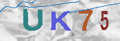キャプチャ画像