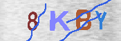キャプチャ画像