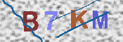 キャプチャ画像