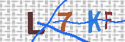 キャプチャ画像