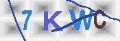 キャプチャ画像