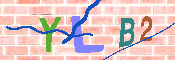 キャプチャ画像