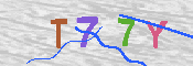 キャプチャ画像