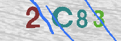 キャプチャ画像