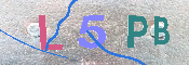 キャプチャ画像