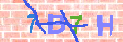 キャプチャ画像
