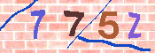キャプチャ画像