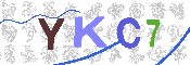 キャプチャ画像