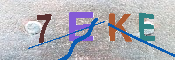 キャプチャ画像