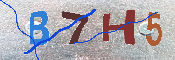 キャプチャ画像