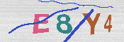 キャプチャ画像