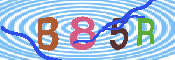 キャプチャ画像