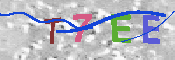 キャプチャ画像
