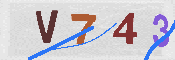 キャプチャ画像