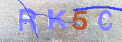 キャプチャ画像
