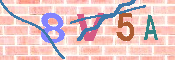 キャプチャ画像