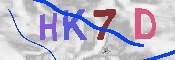 キャプチャ画像