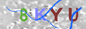 キャプチャ画像